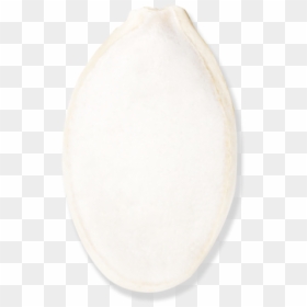 Circle, HD Png Download - white pumpkin png