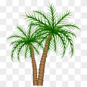 Palm Clipart Royalty Free - Palm Tree No Background, HD Png Download - free tree png