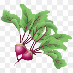 Transparent Vegetable Icon Png - Beets Clipart, Png Download - vegetable icon png