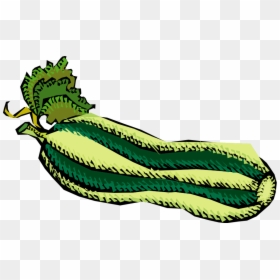 Vegetables 51 Clipart - Zucchini Coloring Page, HD Png Download - vegetable icon png