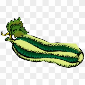 Vegetables 51 Clipart - Zucchini Coloring Page, HD Png Download - vegetable icon png