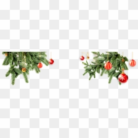 Chrismas Tree Png, Transparent Png - chrismas tree png