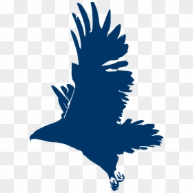 University Icon Png -blue Falcon Icon - Saint Augustine University Falcon, Transparent Png - university icon png