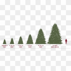 Artificial Christmas Tree Sizes, HD Png Download - trees from above png