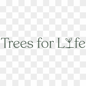 Trees For Life Logo, HD Png Download - trees from above png