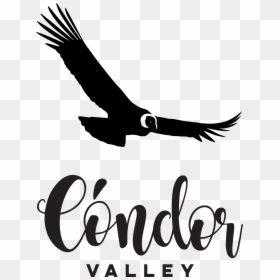 Condor Png , Png Download - Condor Png, Transparent Png - condor png