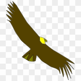 Condor Colombiano Svg Clip Arts - Condor Clipart, HD Png Download - condor png