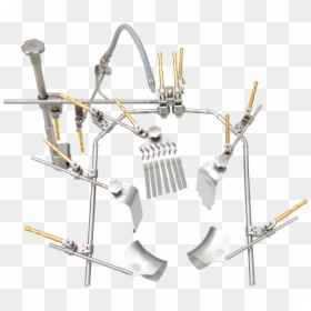 Condor Struma, HD Png Download - condor png
