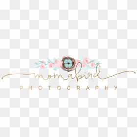 Momabird Photography Logo - Garden Roses, HD Png Download - photographer logo png
