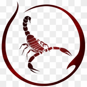 Scorpio Bash Clipart , Png Download - Scorpio Bash, Transparent Png - bash png