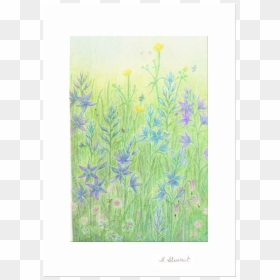 Camas Greeting Card - Camas, HD Png Download - greeting card png