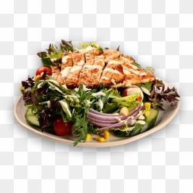 El Jannah Chicken Salad, HD Png Download - chicken salad png