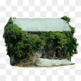 Transparent Old Tree Png - Tree House, Png Download - architecture tree png