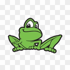 Franklin Farm Froggers - True Frog, HD Png Download - frogger png