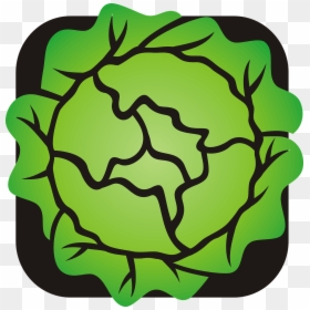 Lettuce, Salad, Green, Vegetables - Lettuce Clip Art Transparent, HD Png Download - salad clipart png