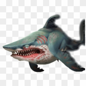 Sharky - Zombie Shark Hungry Sharks, HD Png Download - megalodon png
