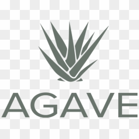Transparent Agave Png - Agave, Png Download - agave plant png