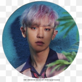 Chanyeol Png -park Chanyeol - Icons Chanyeol, Transparent Png - kyungsoo png