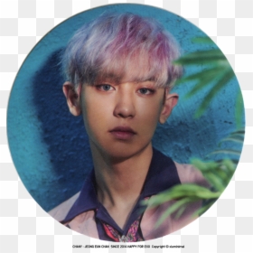 Chanyeol Png -park Chanyeol - Icons Chanyeol, Transparent Png - kyungsoo png