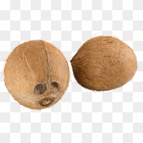 Coconuts - Coconut Png File, Transparent Png - coconuts png