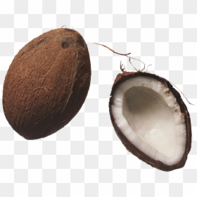 Coconuts Png Image - Coconut, Transparent Png - coconuts png