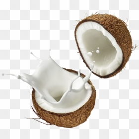 Coconut Milk Coconut Water Soy Milk - Coconut Milk Png, Transparent Png - coconuts png