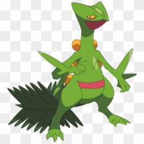 Pokemon Sceptile Png, Transparent Png - grovyle png
