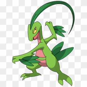 Massko - Pokemon Grovyle, HD Png Download - grovyle png