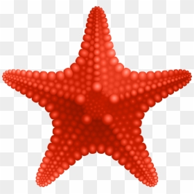 Starfish Clip Art Image Gallery High-quality Transparent, HD Png Download - starfish clip art png