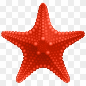 Starfish Clip Art Image Gallery High-quality Transparent, HD Png Download - starfish clip art png