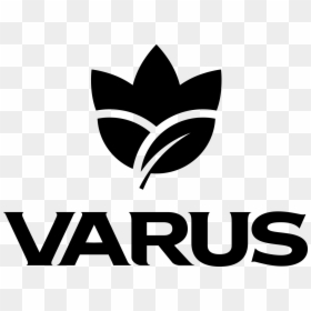 Варус - Varus, HD Png Download - varus png