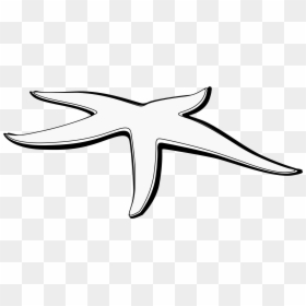 Starfish Black And White Clipart - Line Art, HD Png Download - starfish clip art png