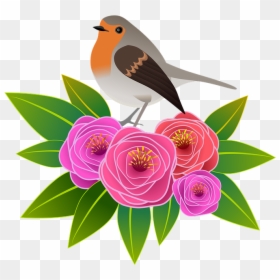 Flowers, Illustration, Bird, Animal, Floral, Roses - European Robin, HD Png Download - flowers illustration png