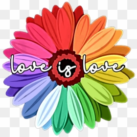 Love Is Love Rainbow, HD Png Download - flowers illustration png