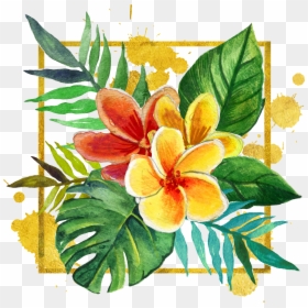 Transparent Tropical Flowers Clipart - Plumeria Painting Png, Png Download - flowers illustration png