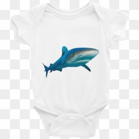 "  Class="lazyload Lazyload Mirage Cloudzoom "  Style= - Hammerhead, HD Png Download - great white png