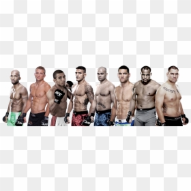 Bantamweight Weight Classes Mma , Png Download - Ufc Weight Classes And Champions, Transparent Png - mma png