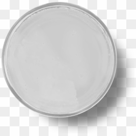 Circle, HD Png Download - petri dish png