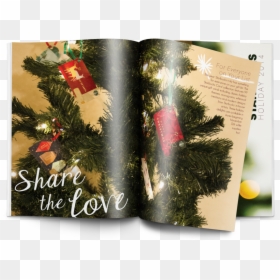 Transparent Starbucks Gift Card Png - Christmas Tree, Png Download - starbucks gift card png
