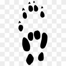 Mouse Paw Prints, HD Png Download - paw png