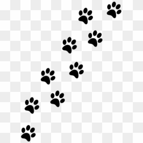 Transparent Paw Print Clipart, HD Png Download - paw png