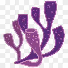 Coral Png, Transparent Png - coral png