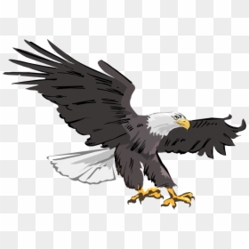 Eagle Clipart, HD Png Download - bald eagle png