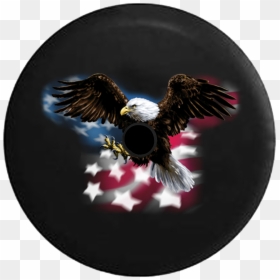 American Eagles T Shirt, HD Png Download - bald eagle png