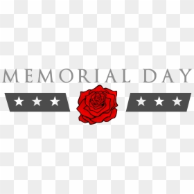 Garden Roses, HD Png Download - memorial day png