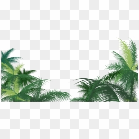 Leaves Of Palm Png, Transparent Png - palm leaf png
