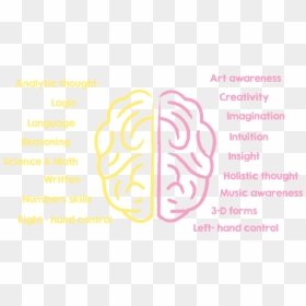Left And Right Brain Importance, HD Png Download - sound waves png