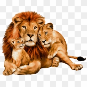 Lion And Its Family, HD Png Download - animals png