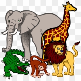 South Africa Animals Cartoon, HD Png Download - animals png