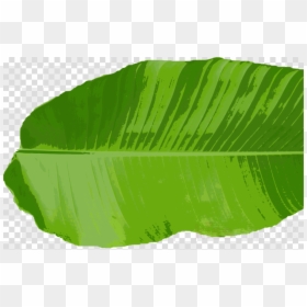 Batman Logo Png, Transparent Png - palm leaf png